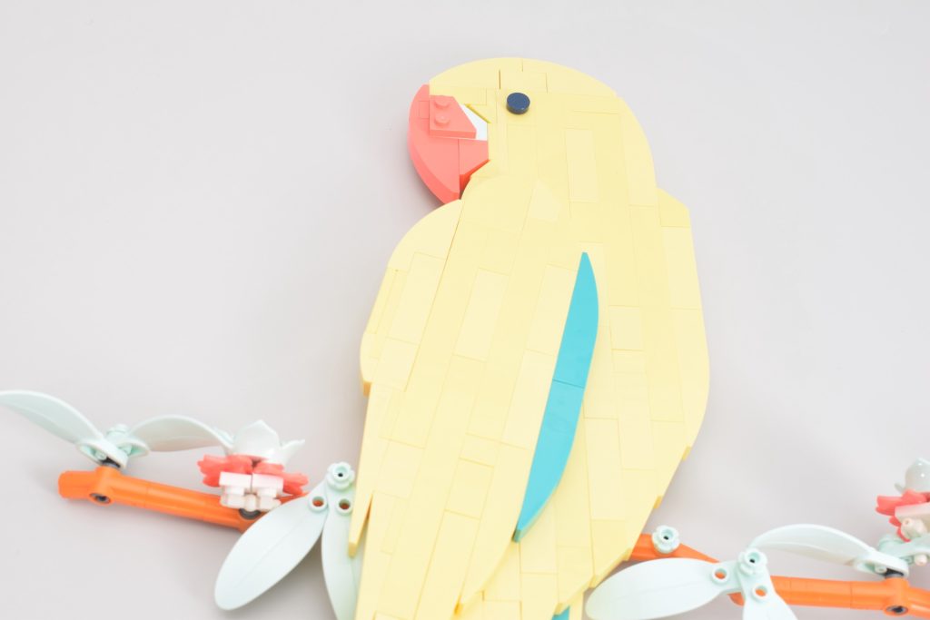 LEGO Art 31211 Macaw Parrots review 16 1024x683