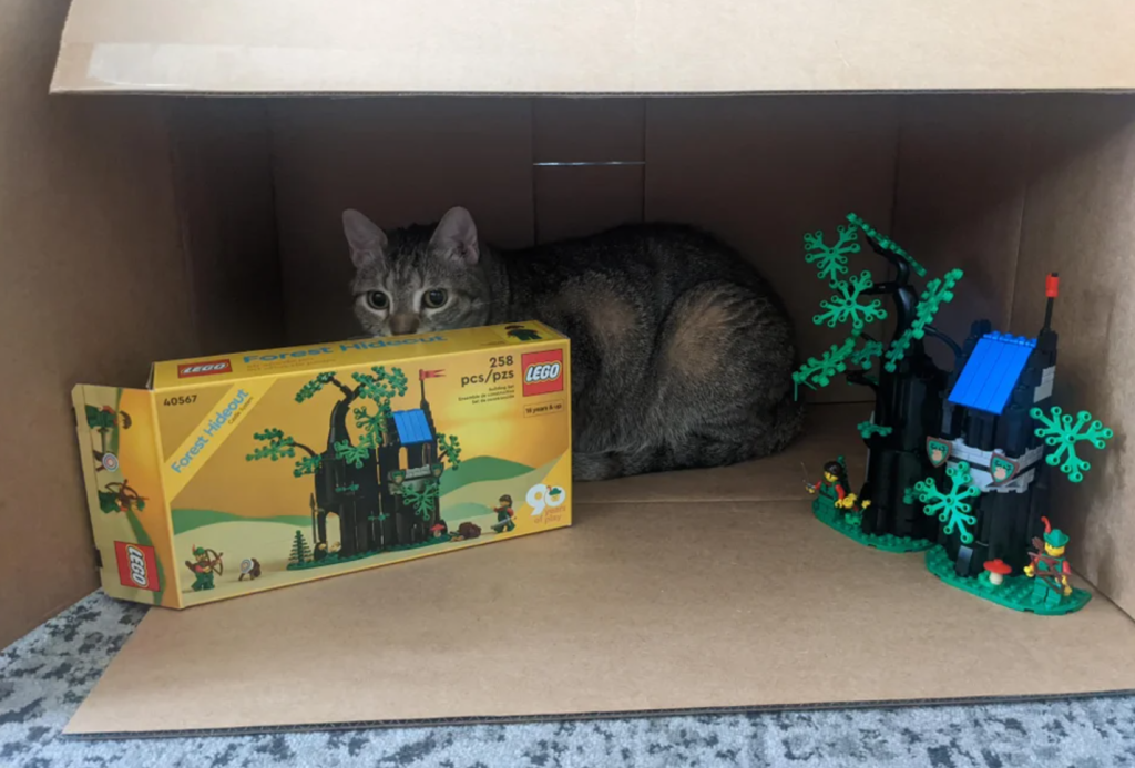 LEGO 10305 Lion Knights Castle cat 2 reddit 1024x693