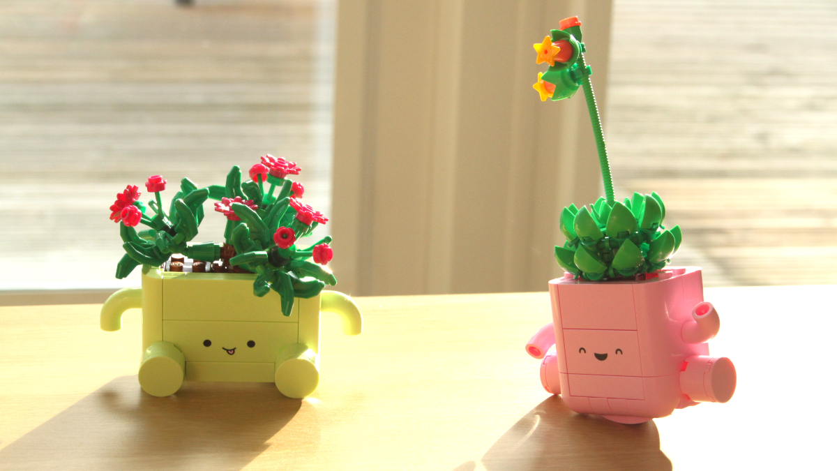 LEGO Botanicals 11506 Rocking Plants is the ideal sequel set