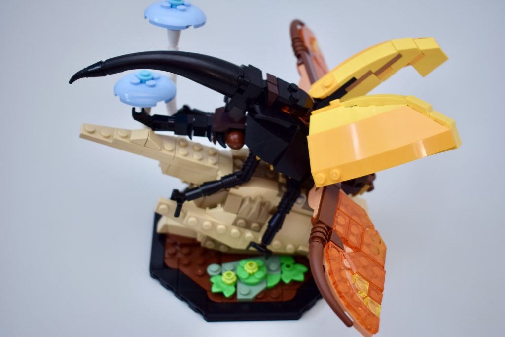 LEGO Ideas 21342 The Insects Collection Review 40 1024x683